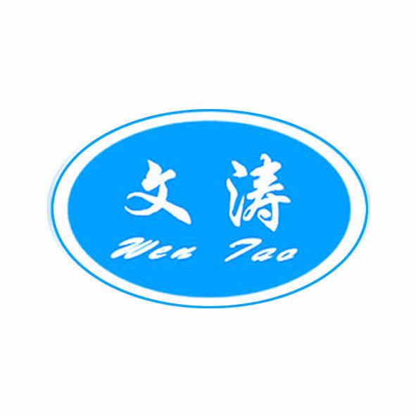 CHANGZHOU WENTAO AUTO-PARTS FACTORY logo
