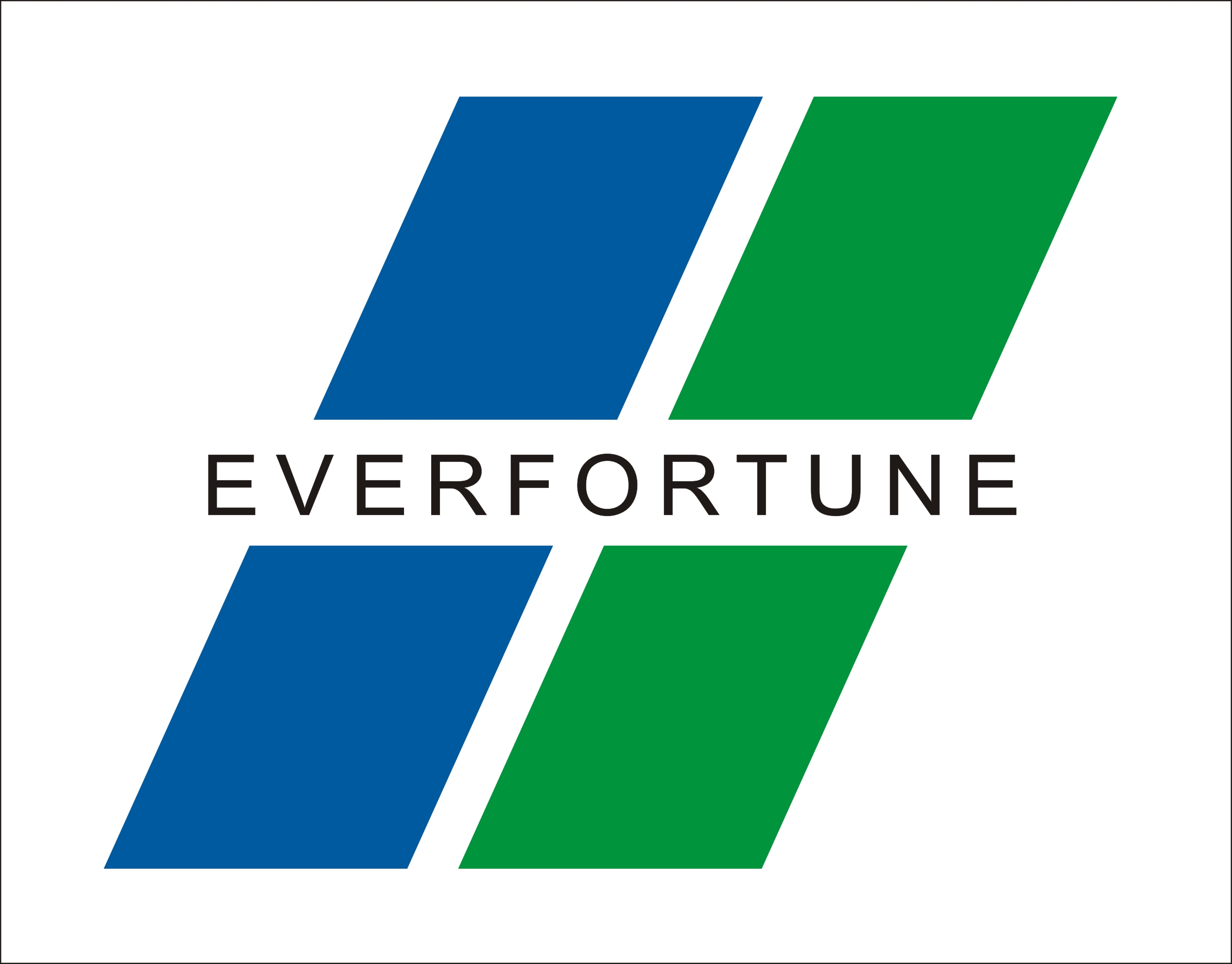 SUZHOU EVERFORTUNE CO., LTD logo