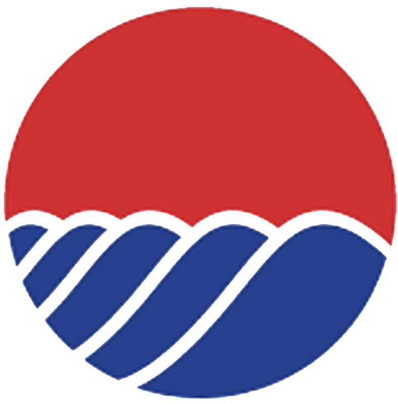 Shanghai Dongsong Healthcare & Technology Co.,Ltd. logo
