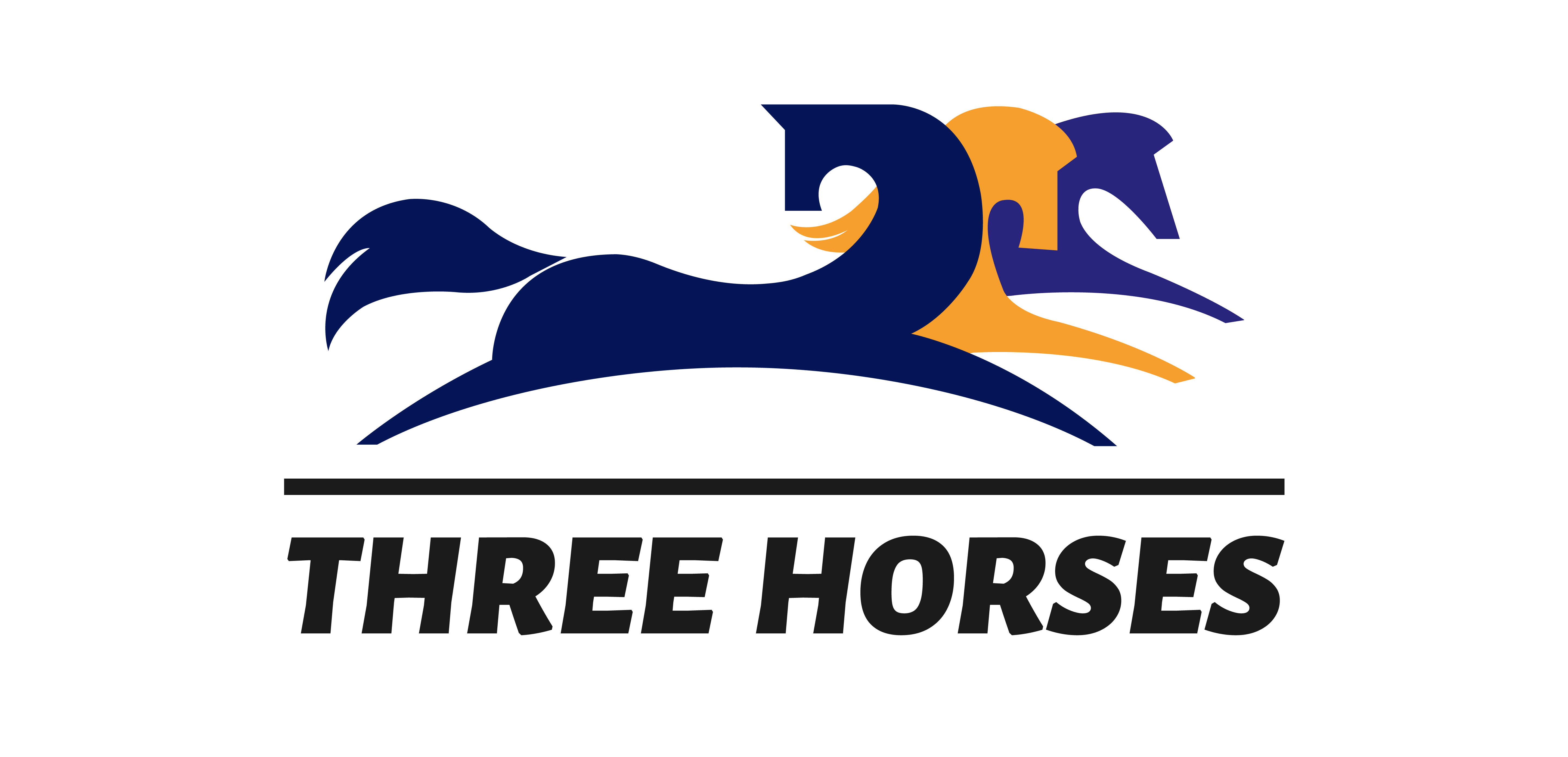 Shenyang Three Horses Technology Co., Ltd logo