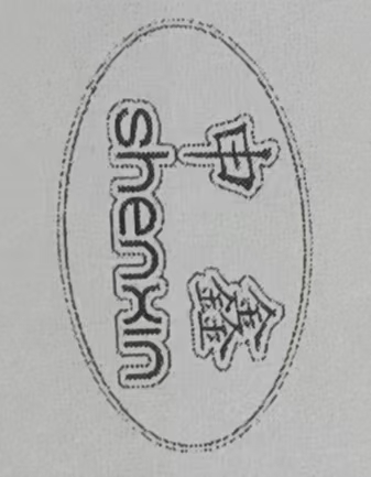 Hengshui Shenxin Caster Co.Ltd logo