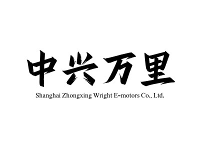 SHANGHAI ZHONGXING WRIGHT E-MOTORS CO.,LTD. logo
