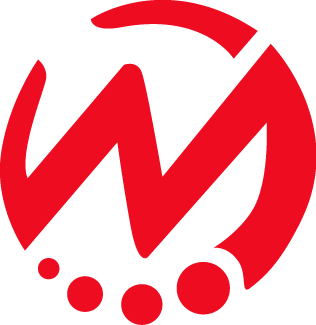 WEIWANG SPORTS EQUIPMENT(HUIZHOU)CO.,LTD logo