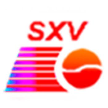 SHANXI VERSED INDUSTRIAL TRADING CO.,LTD logo