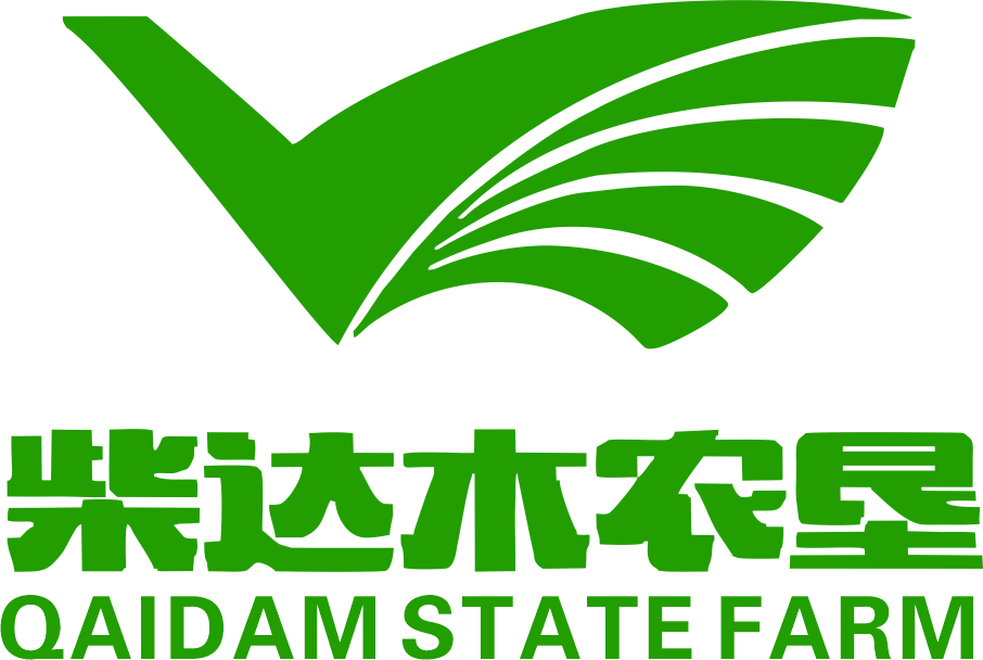 Qinghaizhaikenbrandoperationcoltd logo