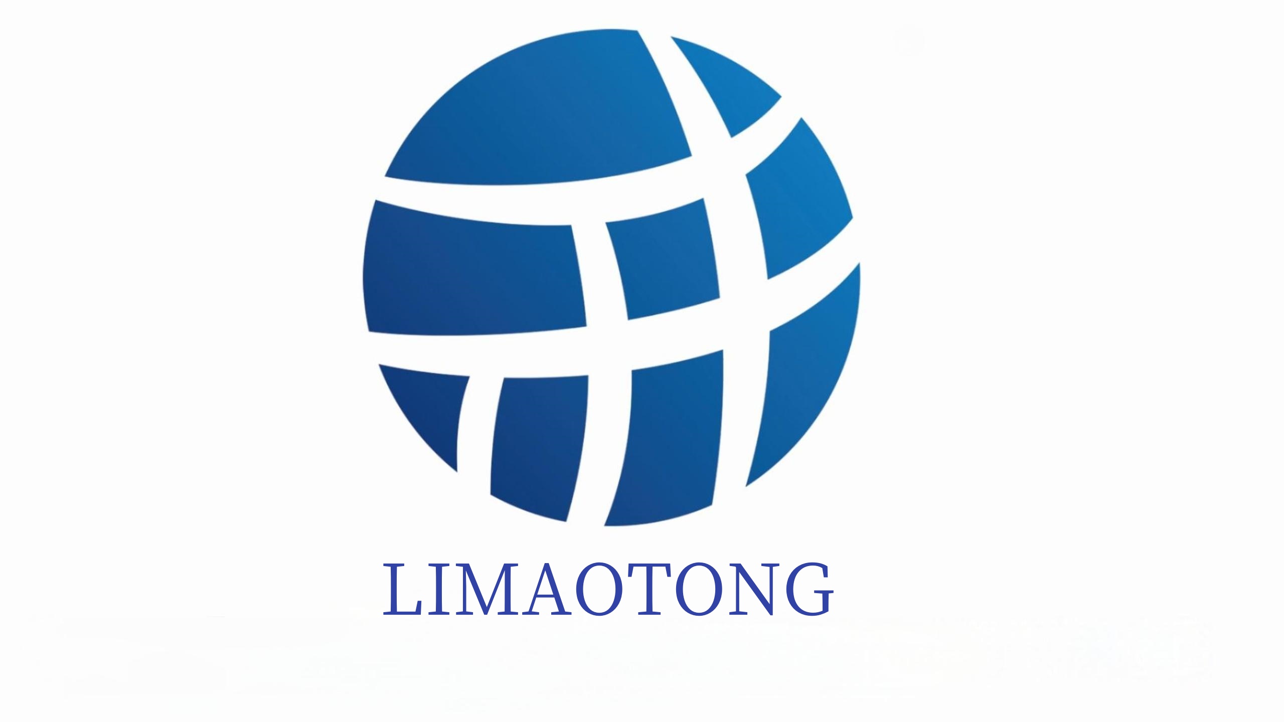 Shandong Limaotong Supply Chain Management Service Co., Ltd. logo