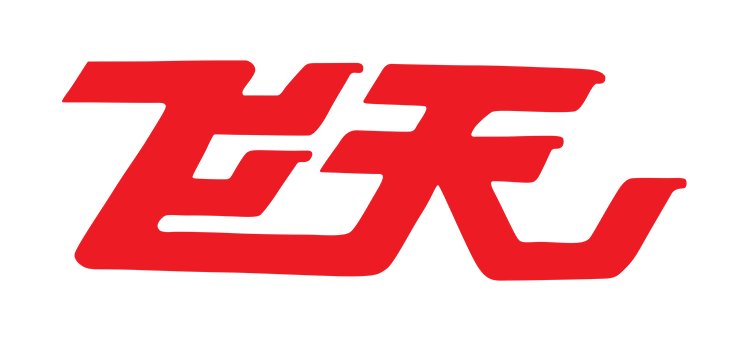 Gansu Tongwei Flying Food Co.LTD logo
