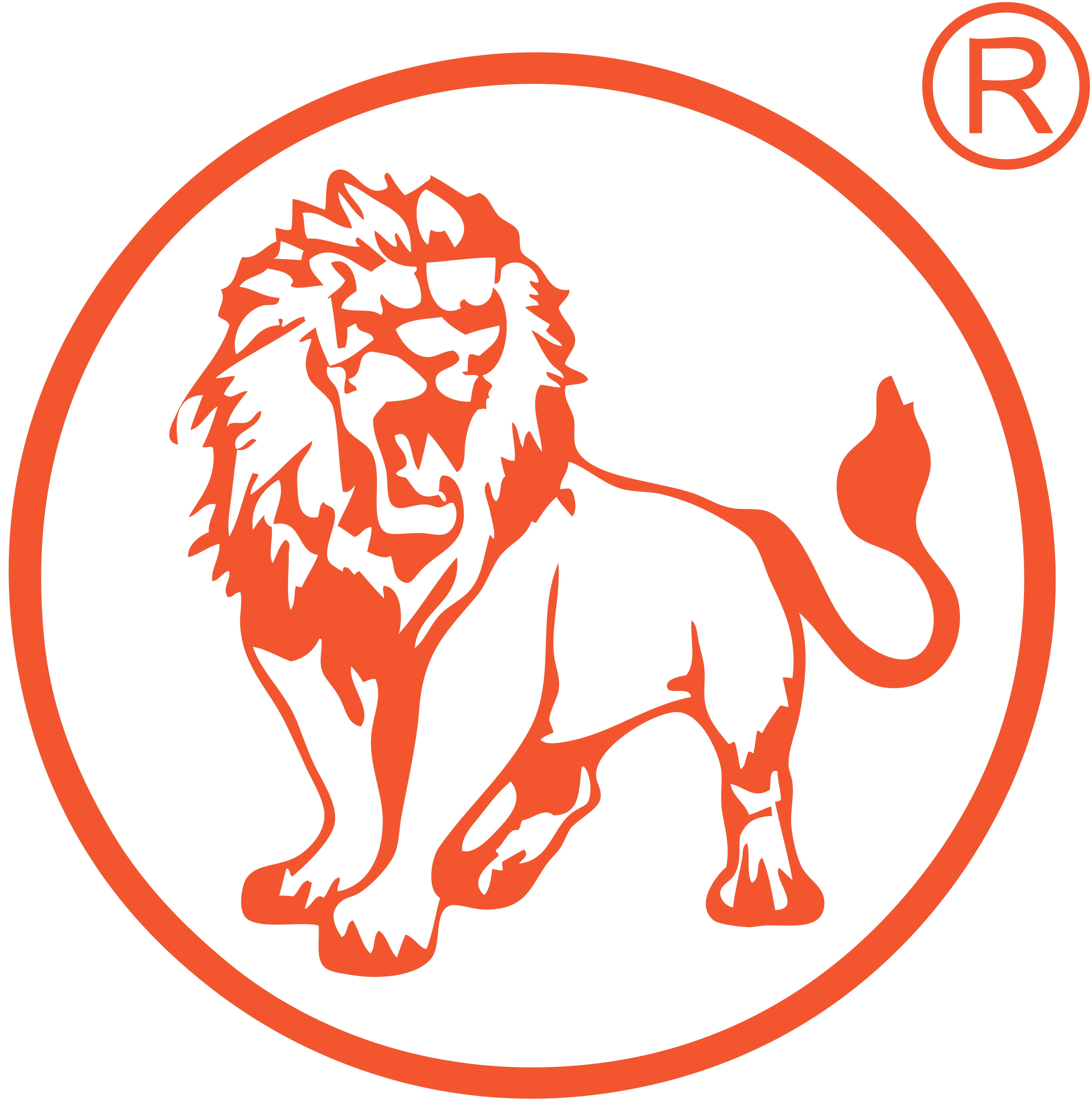 TIANJIN LION TOOL & MEASURE TOOLS CO.,LTD logo