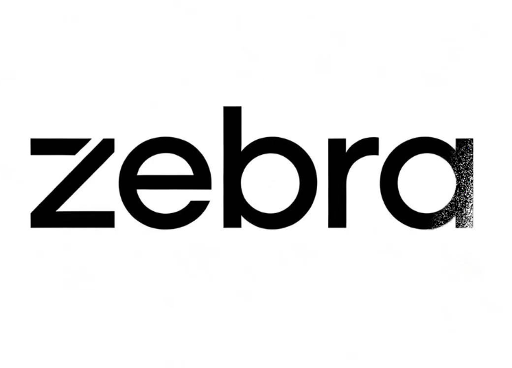 Liaoning Zebra Digital Technology Co.,Ltd logo