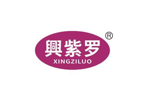 Sichuan Xingziluo Intelligent Technology Co., Ltd. logo