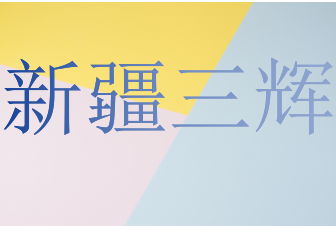 Xinjiang Sanhui Import and Export Trade Co., Ltd. logo