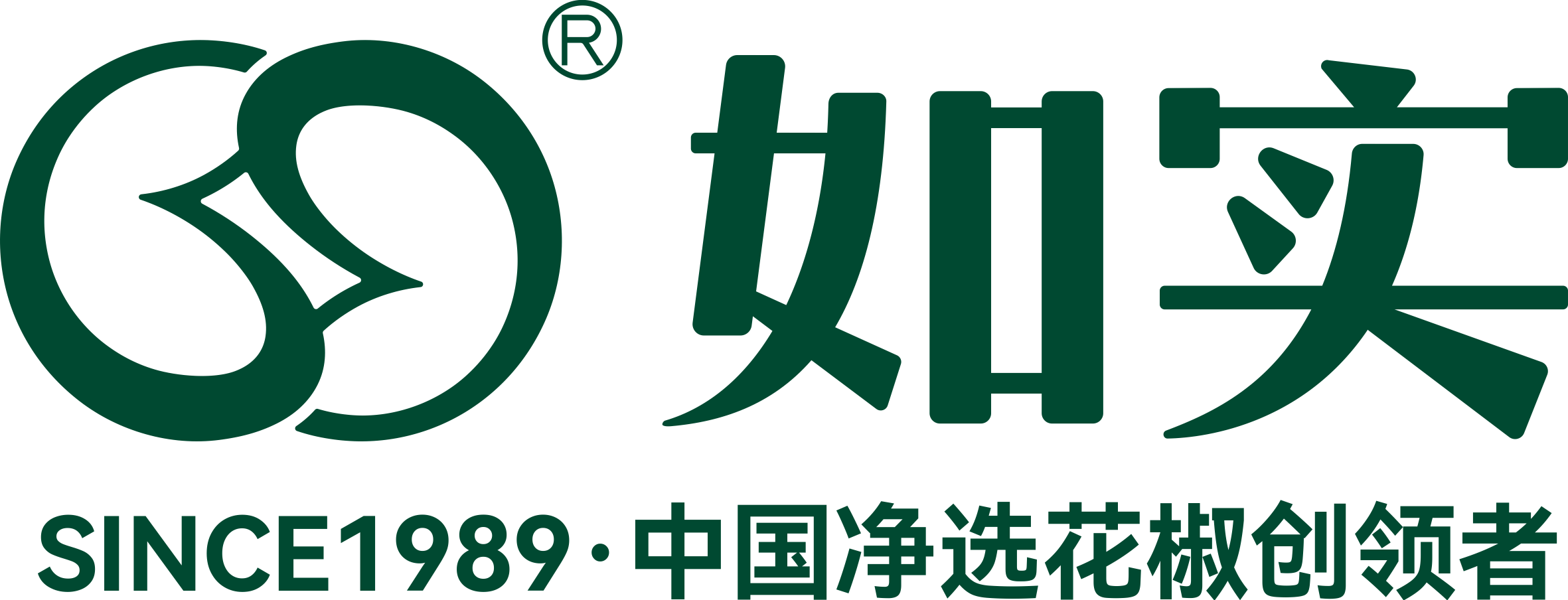 Chengdu Rushi Spices Co., Ltd logo