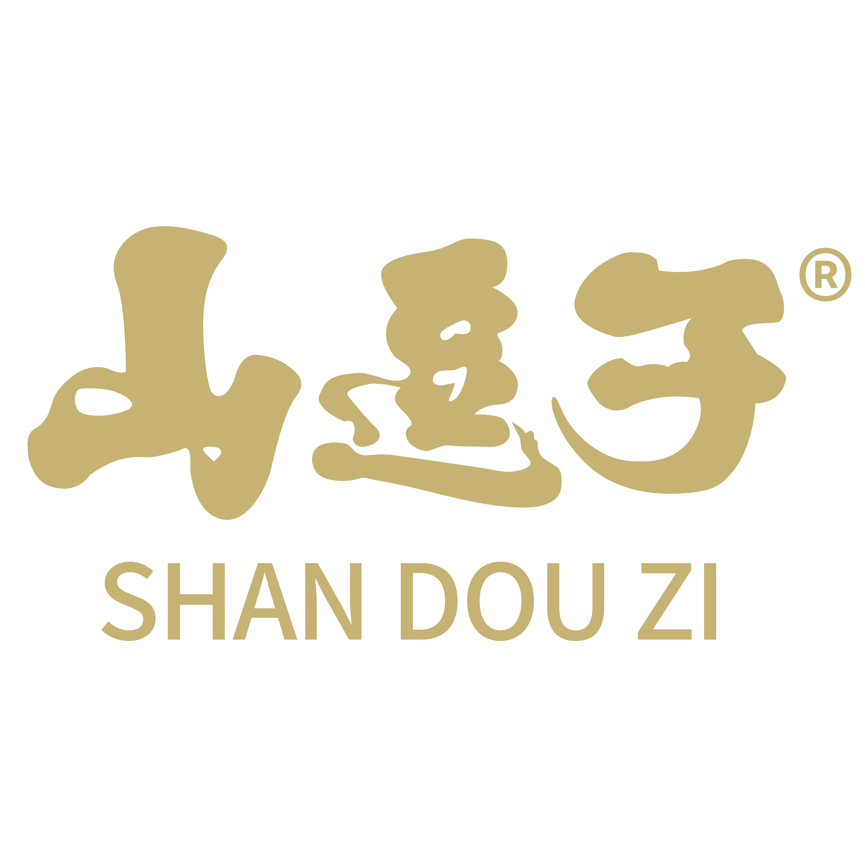 Yanchi County Shandouzi Coarse Cereals Green Food Co., Ltd. logo