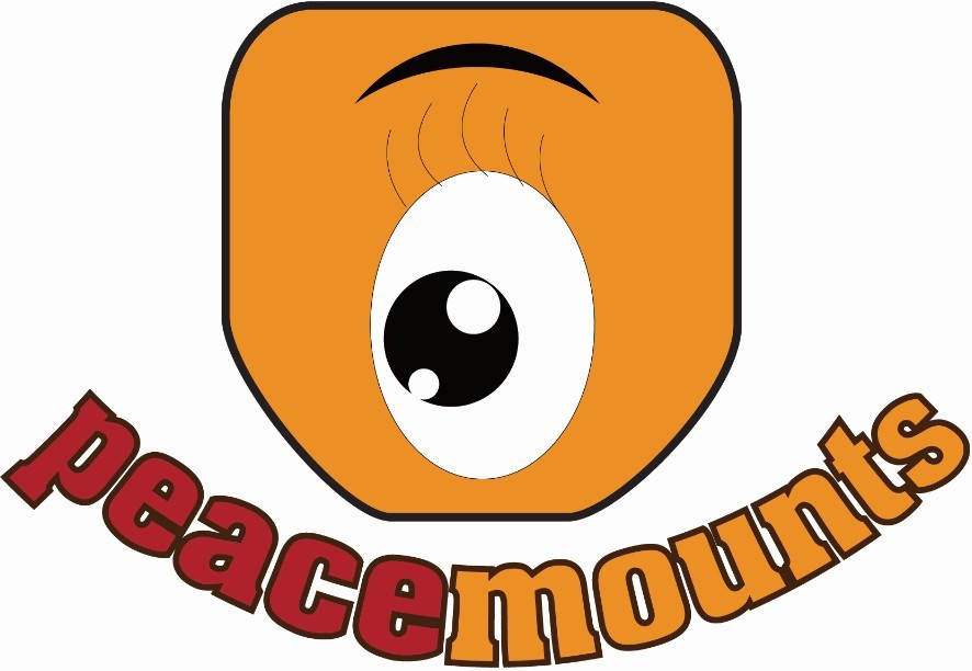 Peacemounts Electronics Co., Ltd logo
