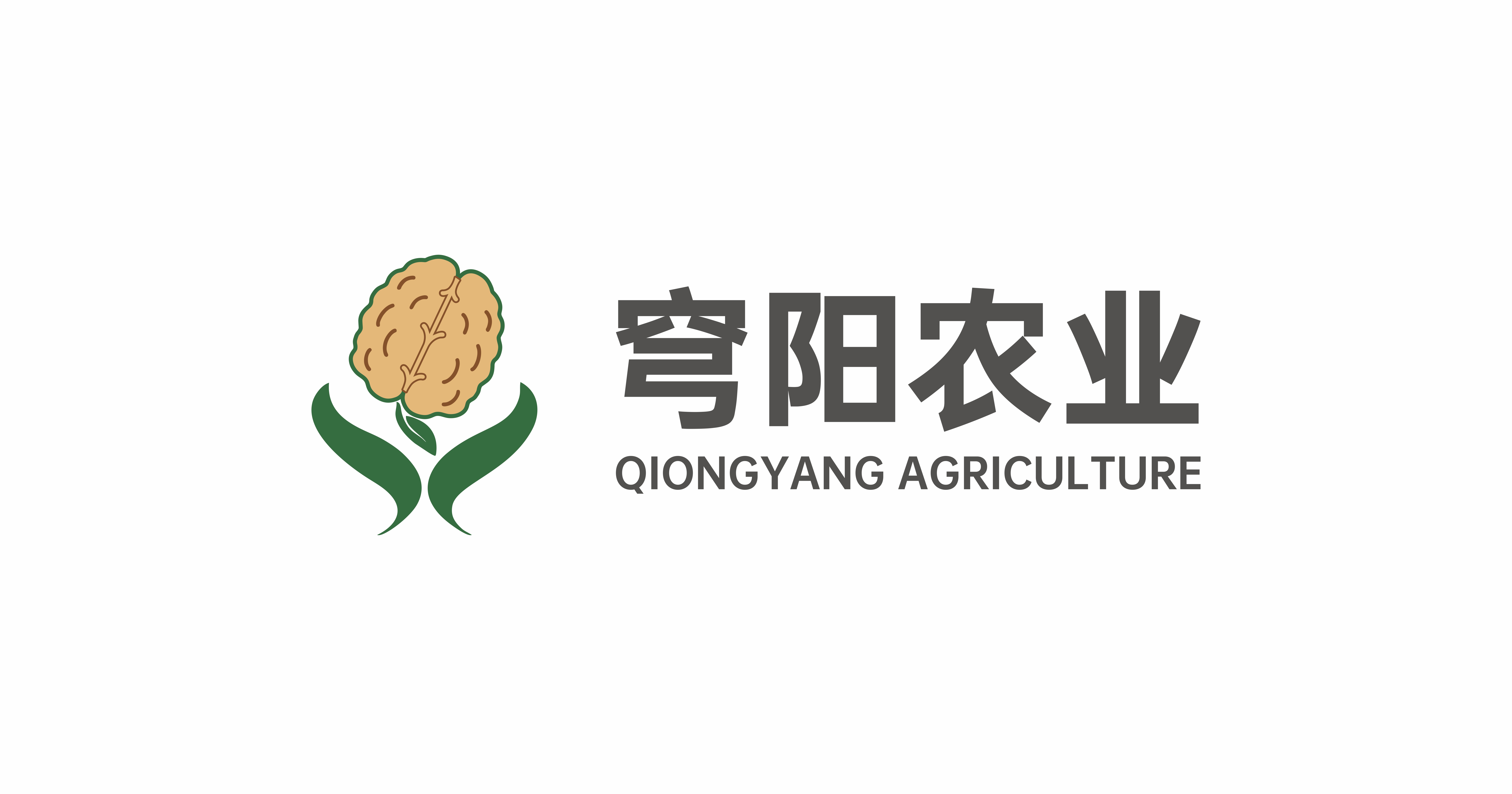 Shangluo Qiongyang Agricultural Development Co., Ltd. logo