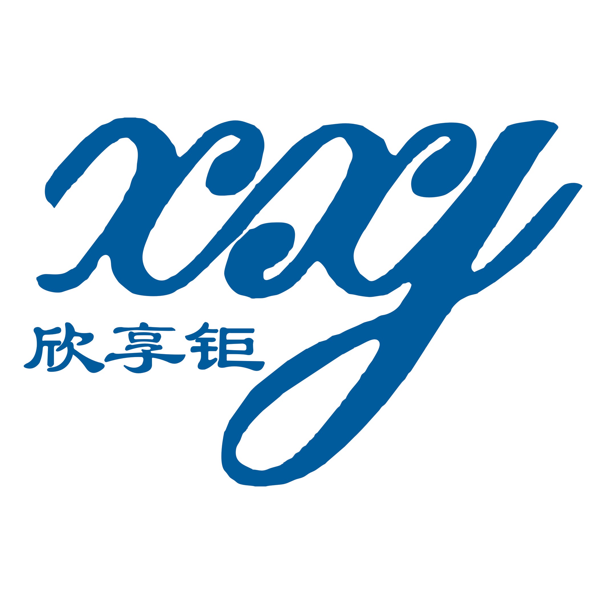 WUDI XINXIANGJU METAL TECHNOLOGY CO., LTD. logo