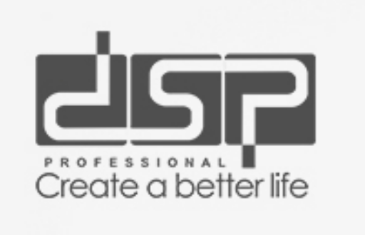 Shenyang DSP Electric Manufacturing Co., Ltd. logo