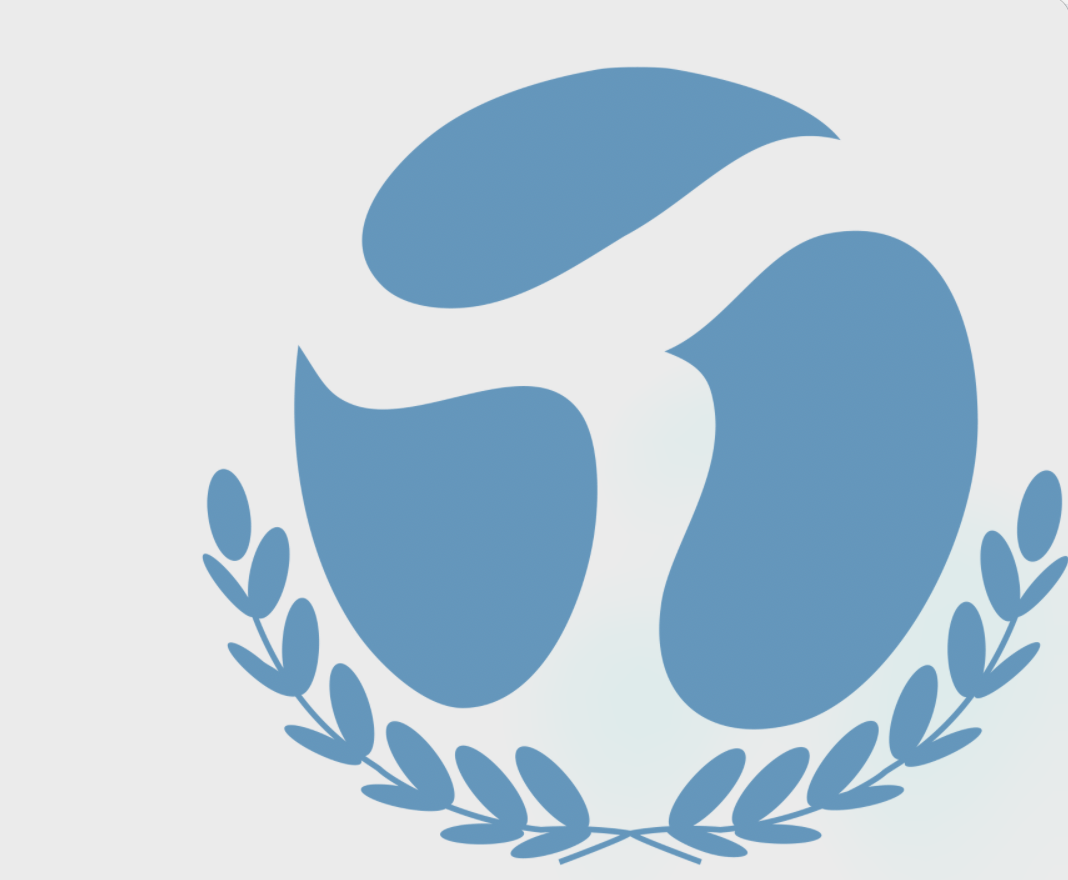 SOHO TIANHONG AUTOMOBILE GROUP CO,LTD. logo