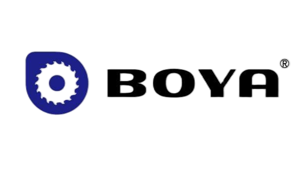 DALIAN BOYA INTERNATION CO.,LTD logo