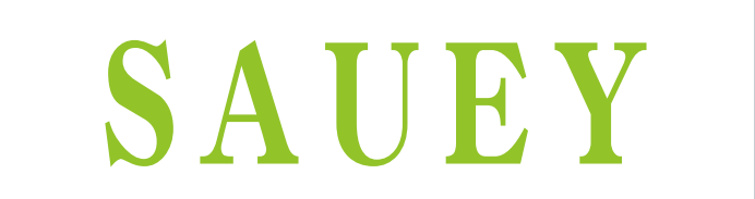 GUANGDONG SUOYI TECHNOLOGY CO., LTD logo