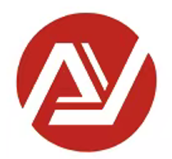 ZIBO ACE INTERNATIONAL CO., LTD. logo