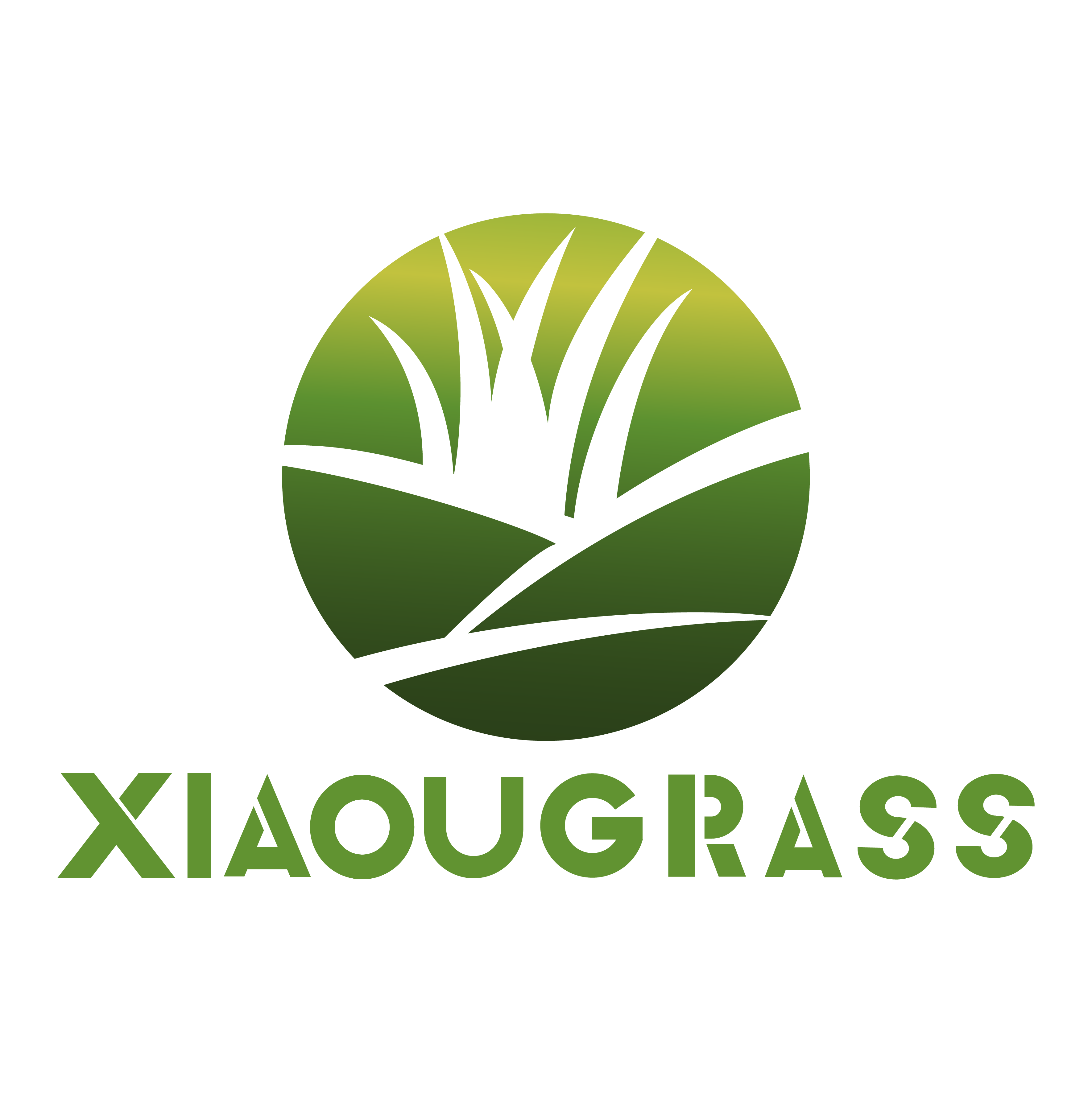 Xi`an Xiaou Industry Co., Ltd logo