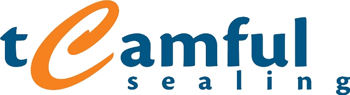 CHENGDU TEAMFUL GASKET TECHNOLOGY CO.,LTD logo