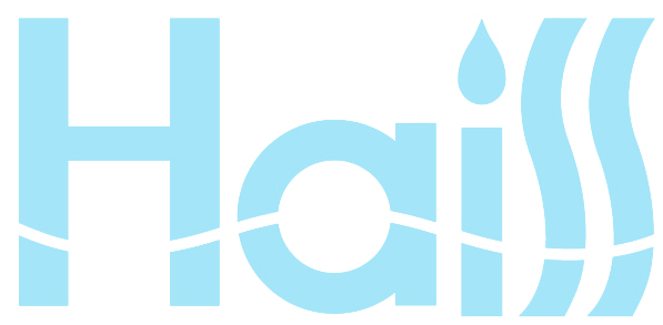 JINJIANG HAISI TRADING CO., LTD logo