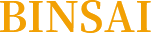 WENZHOU BINSAI TRADING CO.,LTD logo