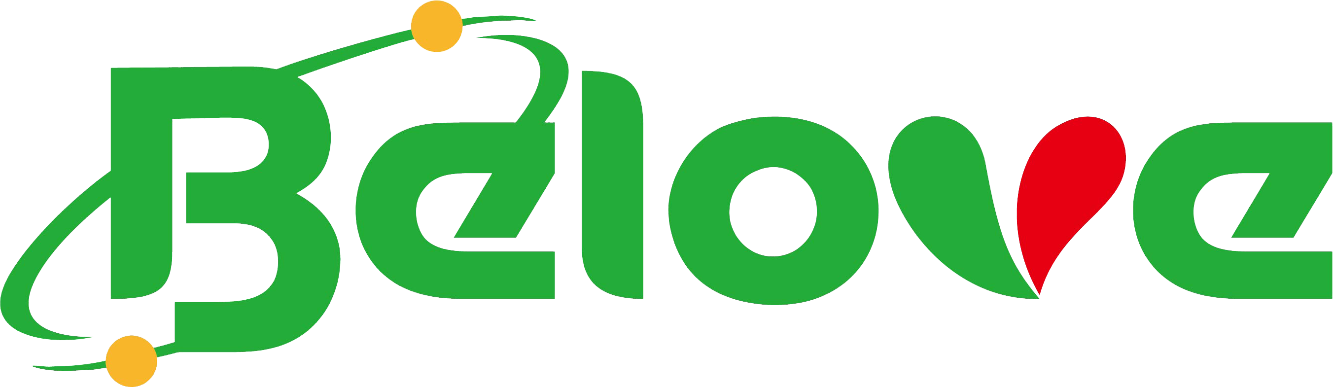 Bella(GZ)Intelligent Information Technology Co.,Ltd. logo