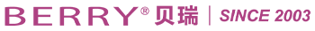 Shanghai Berry Electronic Tech Co Ltd logo