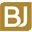 YANGJIANG BIG JUMP INDUSTRIAL CO., LTD logo