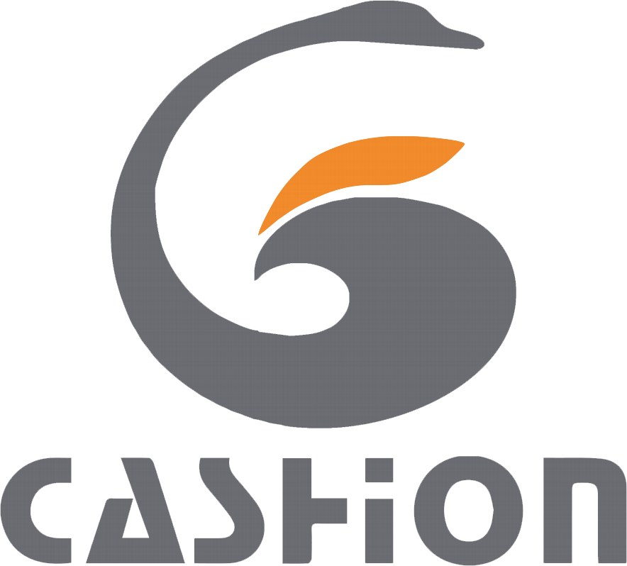 FUJIAN CASHION GARMENT CO.,LTD logo