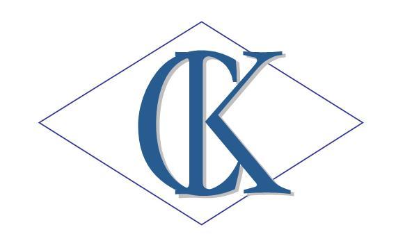 EXCELSIOR LEATHER & PLASTIC IND,CO.,LTD logo