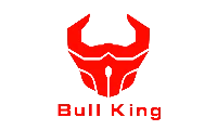 RIZHAOBULLKING SPORTS TECHNOLOGY CO.,LTD. logo