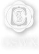 CHINA NATIONAL SILK I/E WUXI CORP., LTD. logo