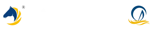 FUJIAN DACHENG POWER CO.,LTD. logo