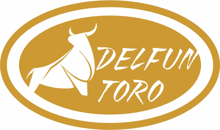 Anhui Delfund Industrial Group Co., Ltd. logo