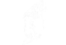 ANHUI DUICHENG IMP. AND EXP. CO., LTD. logo