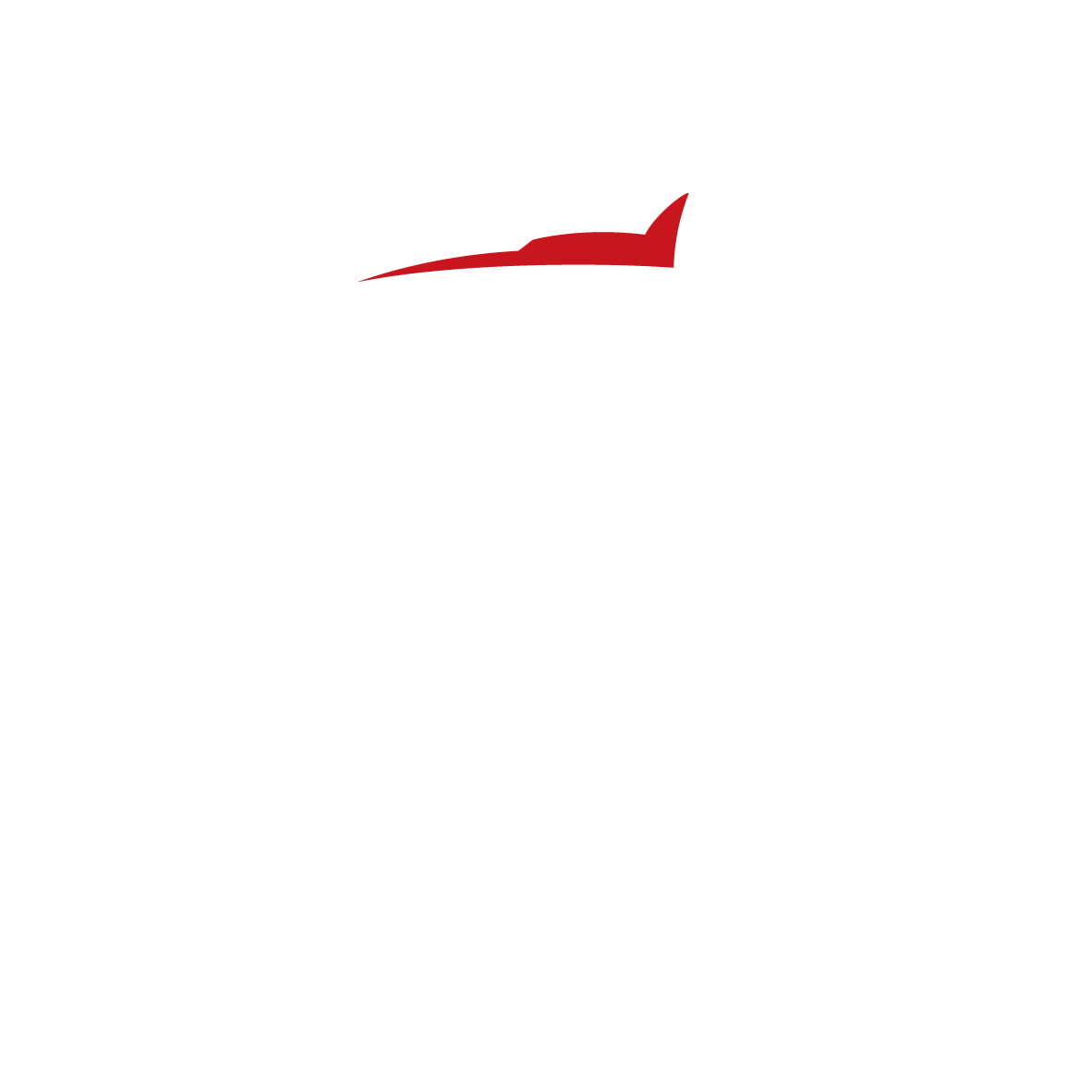 ZHAOQING LEOCH BATTERY TECHNOLOGY CO.,LTD. logo