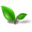 Tongling Lin Ann Biological Technology Co., Ltd. logo