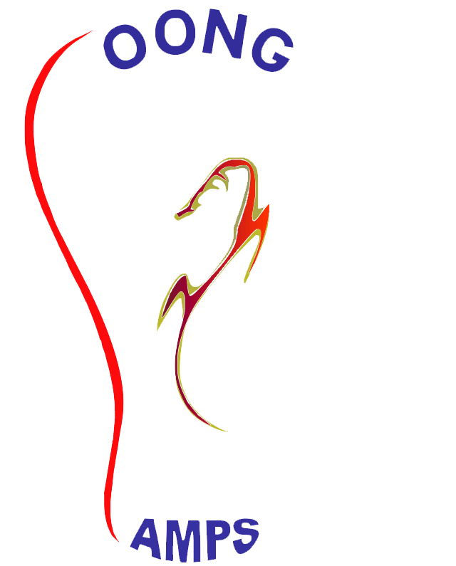GANSU LOONG LIGHTING SCIENTECH CO,LTD logo