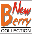 NEW BERRY ENTERPRISE (XIAMEN) LTD. logo