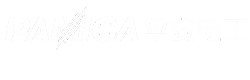 PAMICA ELECTRIC MATERIAL(HUBEI) CO.,LTD logo