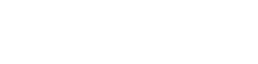 SHANDONG SINO STEEL CO., LTD logo