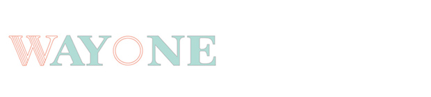 SHENZHEN WAYONE PORCELAIN CO.LTD logo