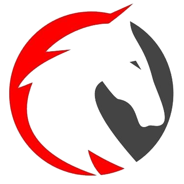 FUZHOU TEAMAX POWER TECHNOLOGY CO.,LTD logo