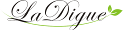 SHANXI TOP WINNER GLASS CO.,LTD logo