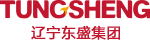 Liaoning Dongsheng Plastic Igndustry Co.,Ltd. logo
