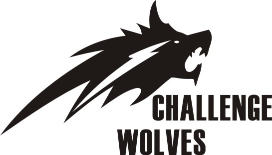 Fujian Challenge Wolves Tech. Co., LTD logo